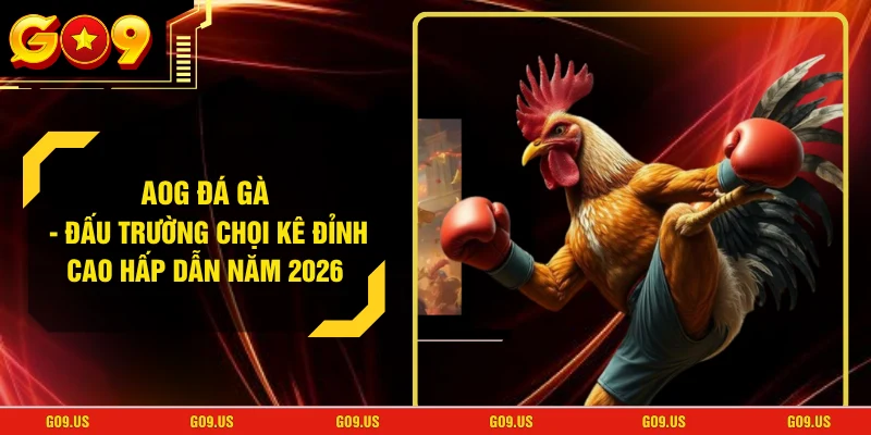 AOG Đá Gà - Đấu Trường Chọi Kê Đỉnh Cao Hấp Dẫn Năm 2026