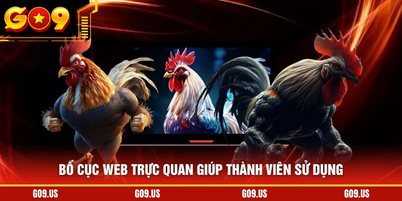Bố cục web trực quan giúp thành viên sử dụng