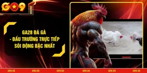 GA28 Đá Gà - Đấu Trường Trực Tiếp Sôi Động Bậc Nhất