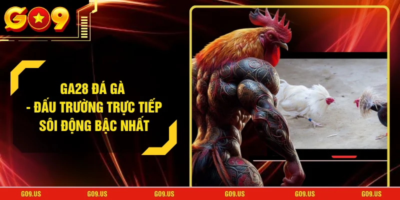 GA28 Đá Gà - Đấu Trường Trực Tiếp Sôi Động Bậc Nhất