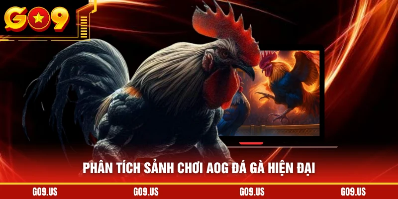 Phân tích sảnh chơi AOG đá gà hiện đại