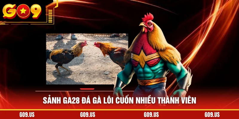 Sảnh GA28 đá gà lôi cuốn nhiều thành viên