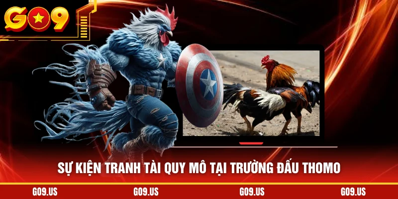 Sự kiện tranh tài quy mô tại trường đấu Thomo