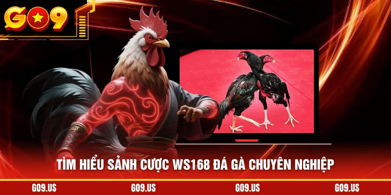 Tìm hiểu sảnh cược Ws168 đá gà chuyên nghiệp
