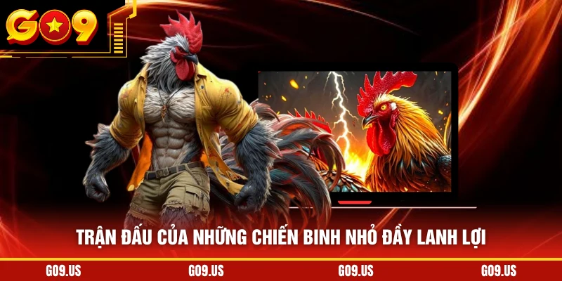 Trận đấu của những chiến binh nhỏ đầy lanh lợi
