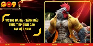 Ws168 Đá Gà - Sảnh Đấu Trực Tiếp Đỉnh Cao Tại Việt Nam